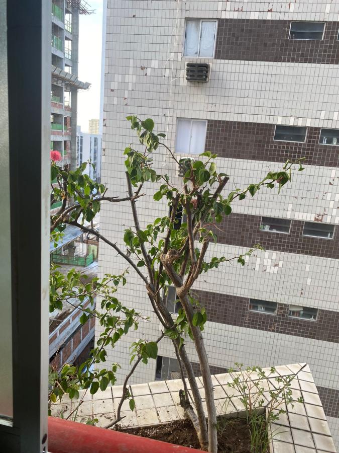 Apartamento, 3 quartos, 110 m² - Foto 10