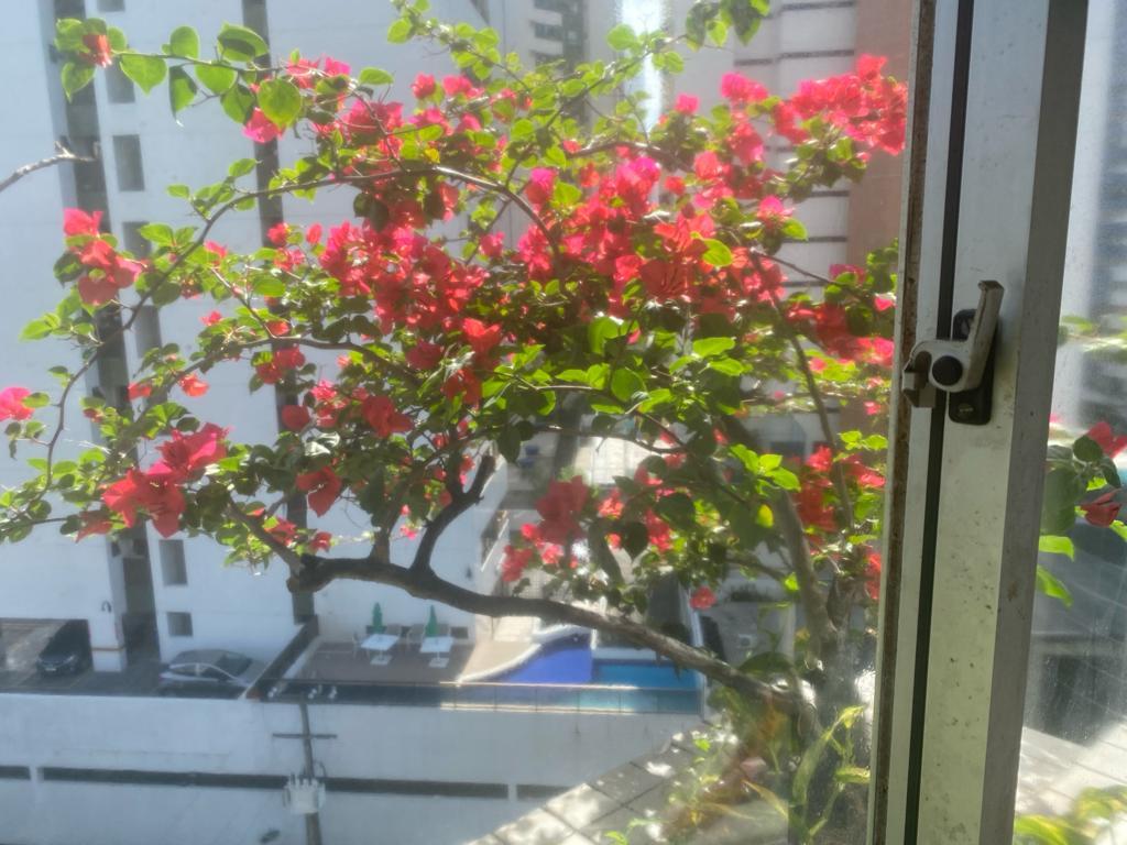Apartamento, 3 quartos, 110 m² - Foto 15