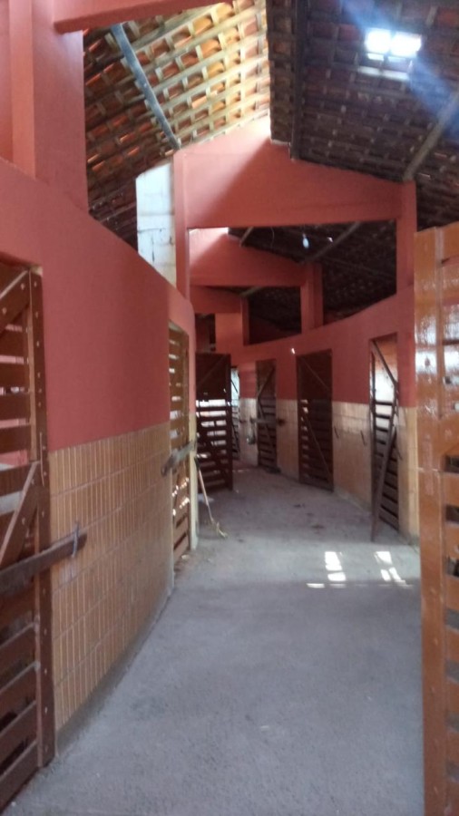 Fazenda, 181 hectares - Foto 4