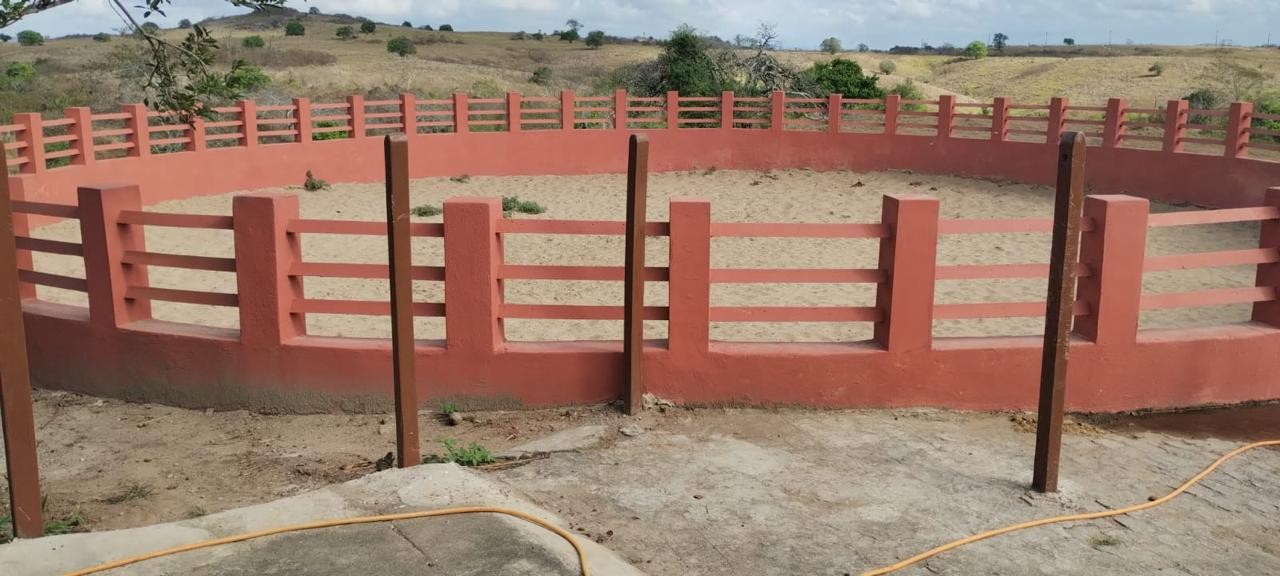 Fazenda, 181 hectares - Foto 9