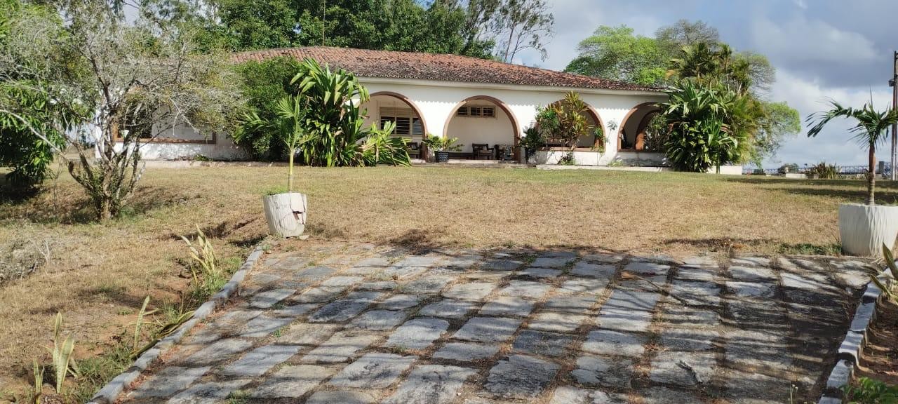 Fazenda, 181 hectares - Foto 8