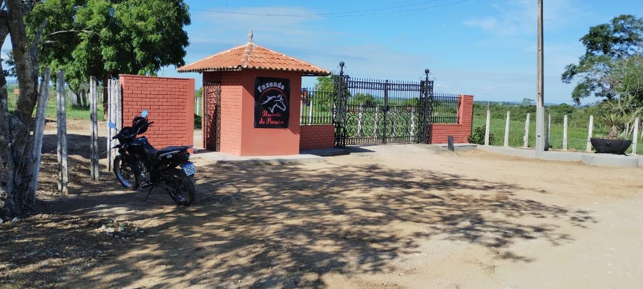 Fazenda, 181 hectares - Foto 11