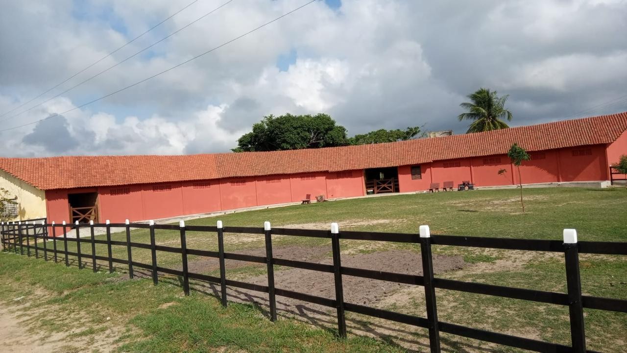 Fazenda, 181 hectares - Foto 12