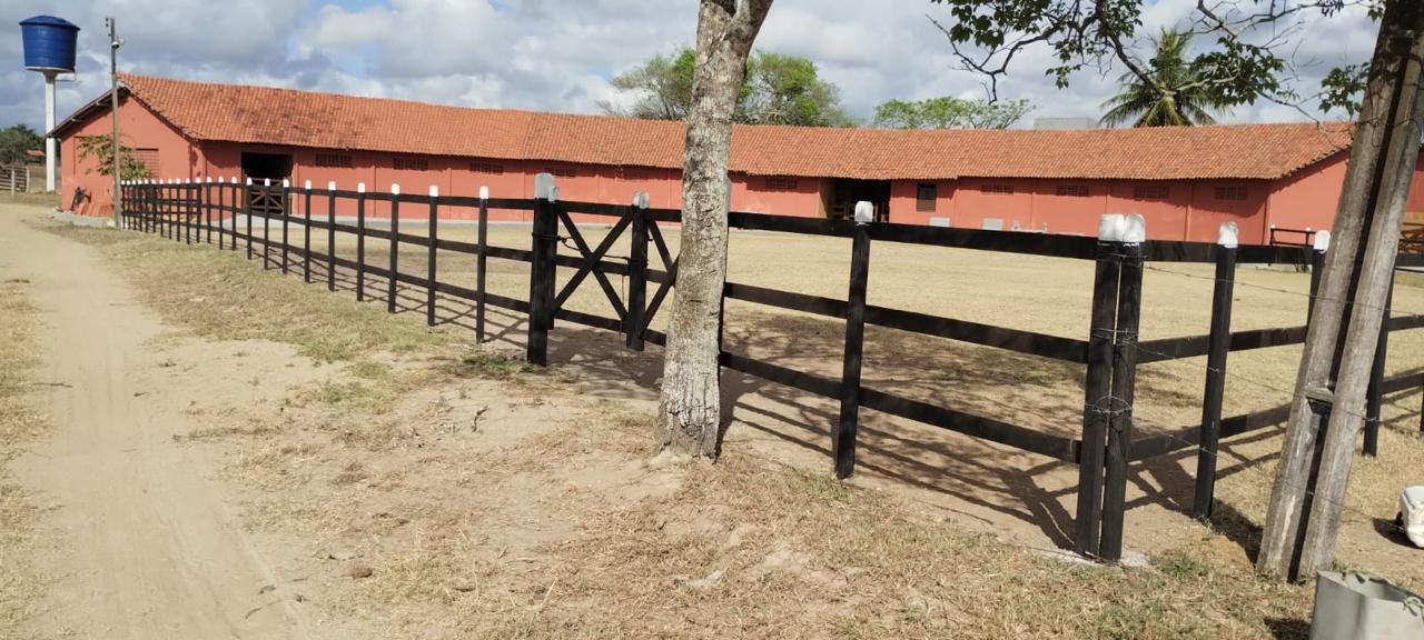 Fazenda, 181 hectares - Foto 16