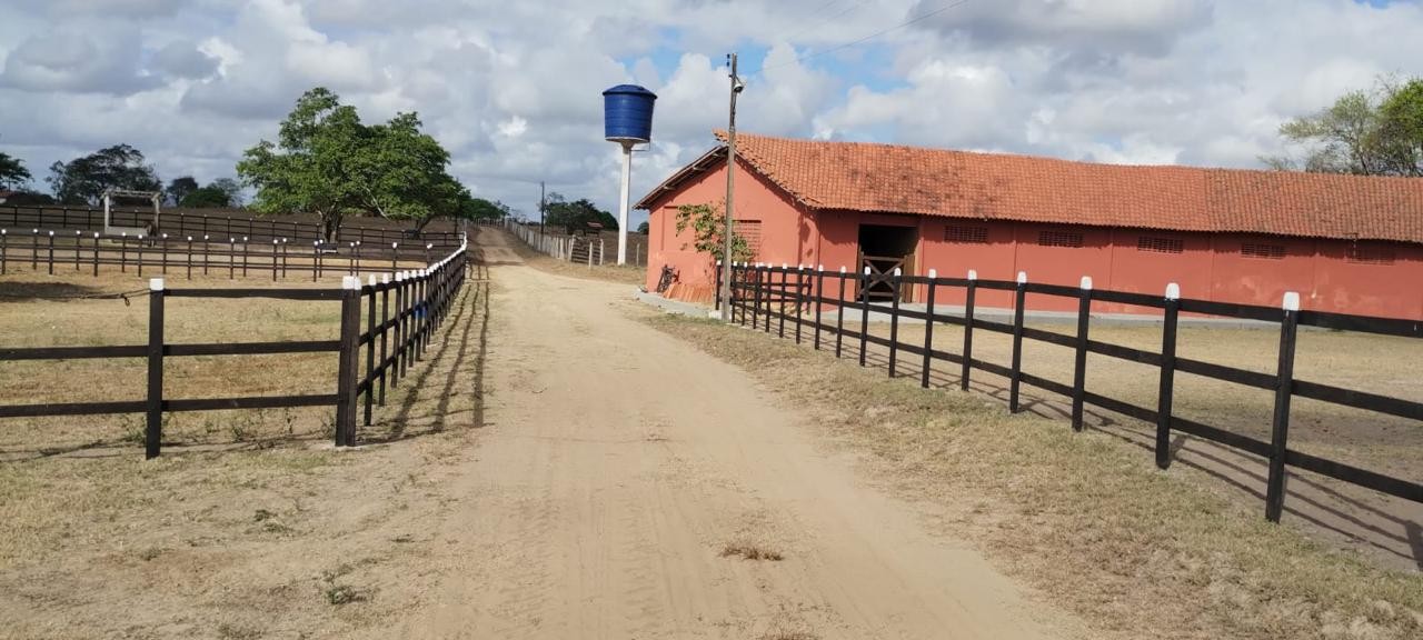 Fazenda, 181 hectares - Foto 17
