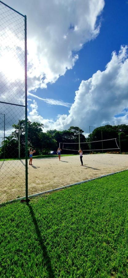 Casa, 4 quartos, 215 m² - Foto 4