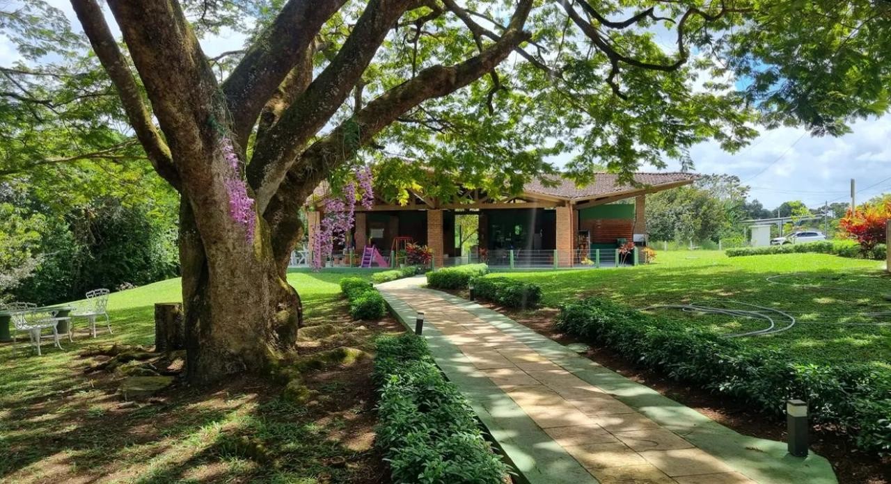 Casa, 4 quartos, 215 m² - Foto 9