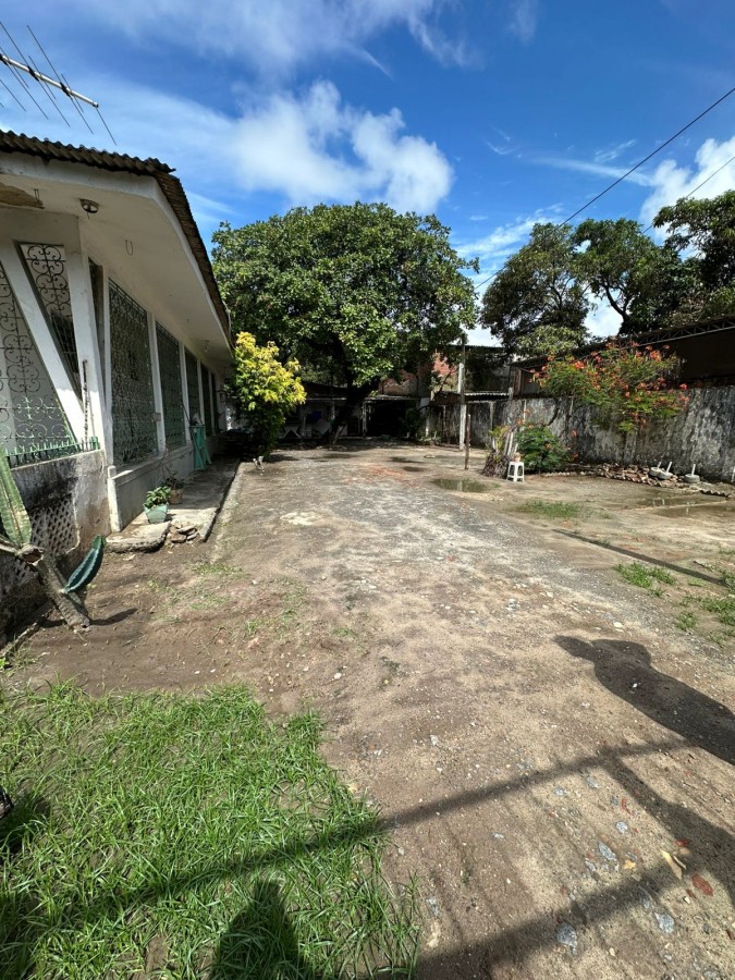 Terreno, 1356 m² - Foto 3