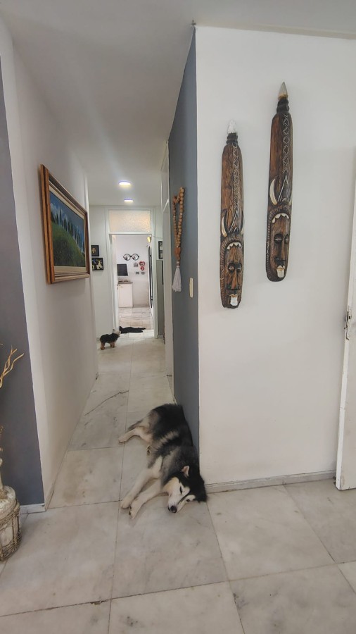 Apartamento, 3 quartos, 180 m² - Foto 14
